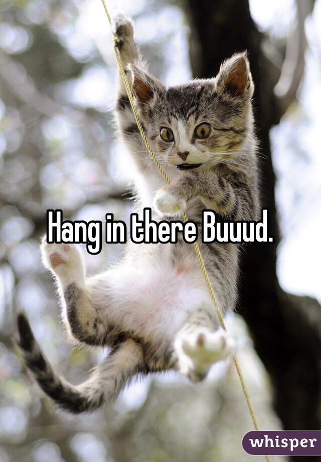 Hang in there Buuud.