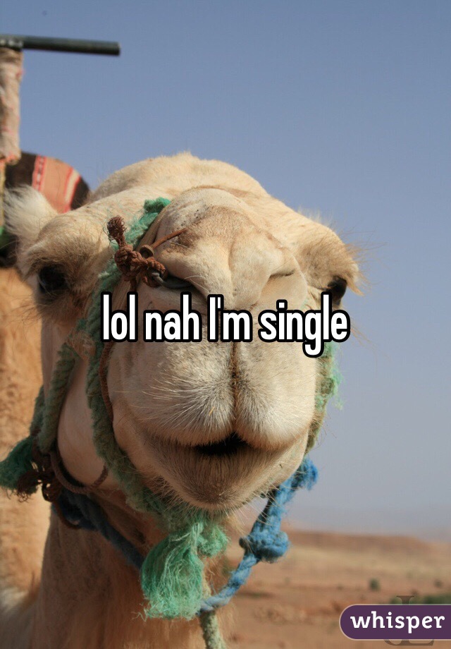 lol nah I'm single