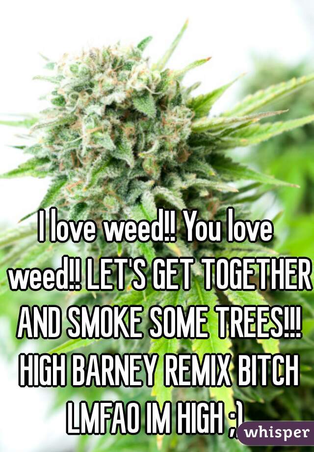 I love weed!! You love weed!! LET'S GET TOGETHER AND SMOKE SOME TREES!!! HIGH BARNEY REMIX BITCH LMFAO IM HIGH ;) 