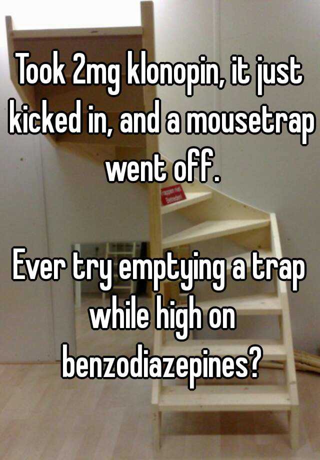 Took 2mg klonopin, it just kicked in, and a mousetrap went off.

Ever try emptying a trap while high on benzodiazepines?