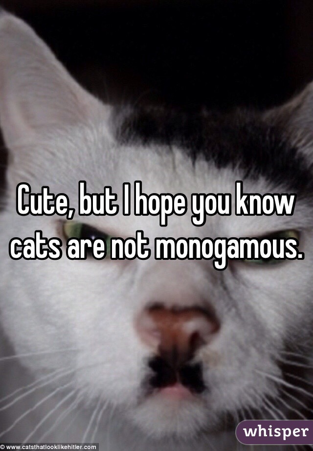 Cute, but I hope you know cats are not monogamous. 