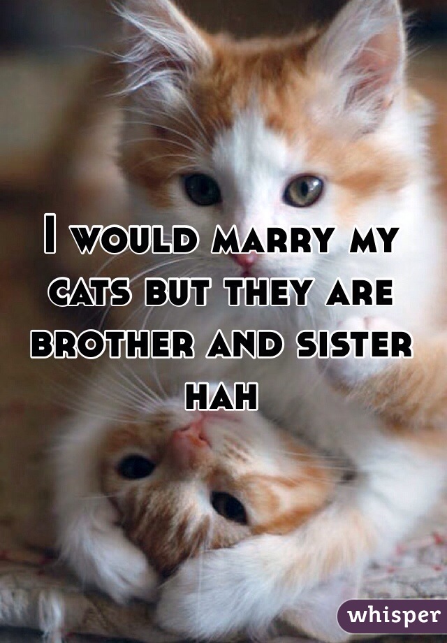 I would marry my cats but they are brother and sister hah 