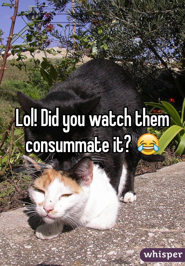 Lol! Did you watch them consummate it? 😂
