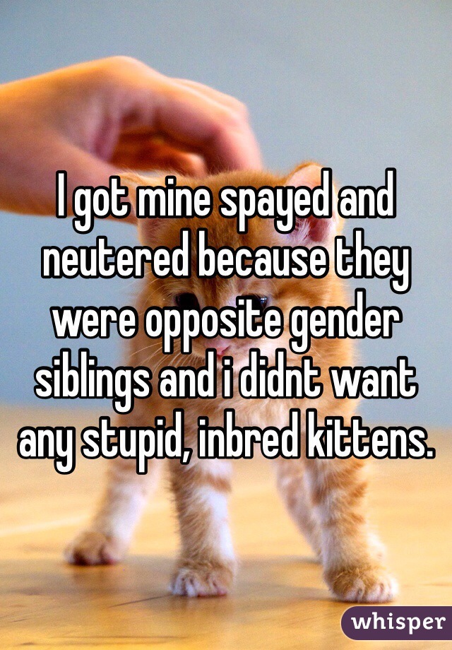 I got mine spayed and neutered because they were opposite gender siblings and i didnt want any stupid, inbred kittens.