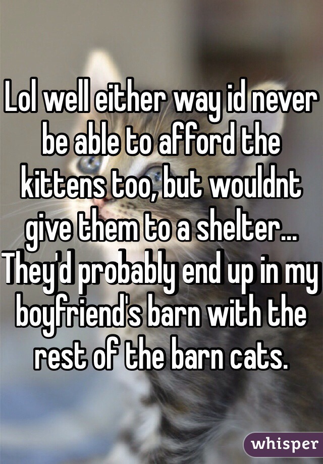 Lol well either way id never be able to afford the kittens too, but wouldnt give them to a shelter... They'd probably end up in my boyfriend's barn with the rest of the barn cats.