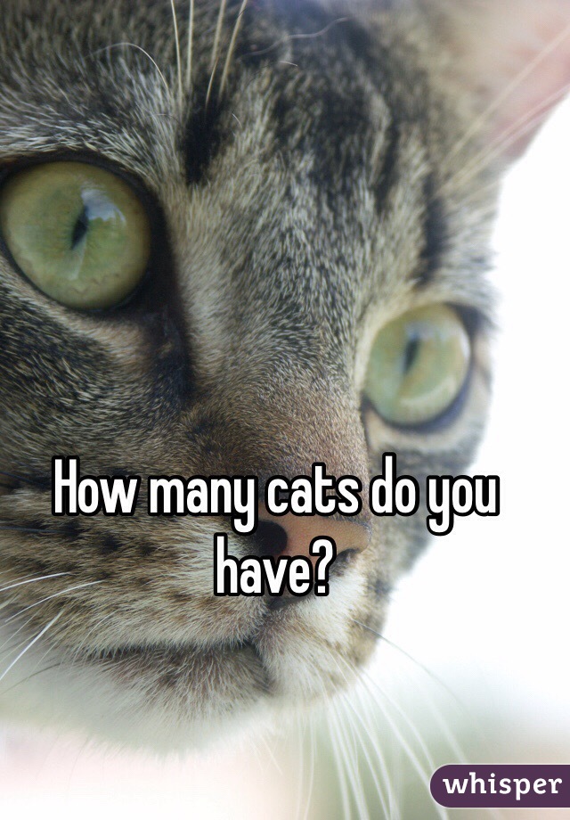 How many cats do you have?