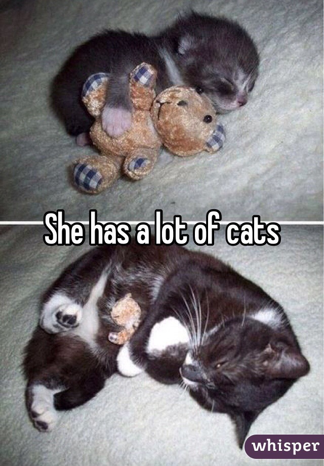 She has a lot of cats 