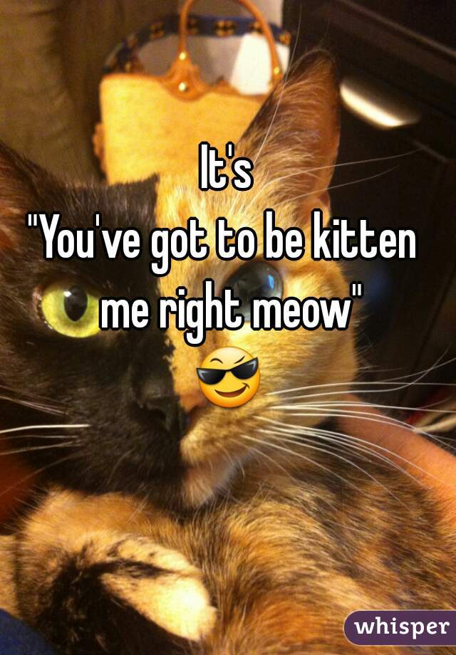 It's
"You've got to be kitten 
 me right meow"
😎 

