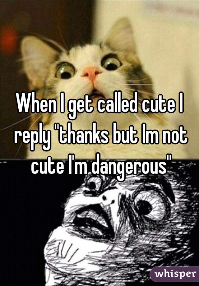 When I get called cute I reply "thanks but Im not cute I'm dangerous"