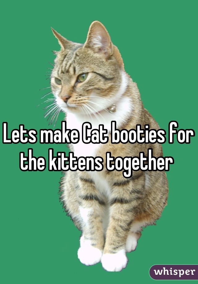Lets make Cat booties for the kittens together 