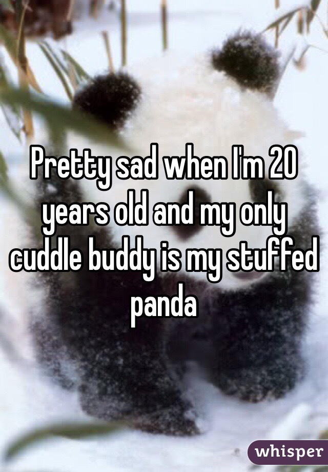 Pretty sad when I'm 20 years old and my only cuddle buddy is my stuffed panda 