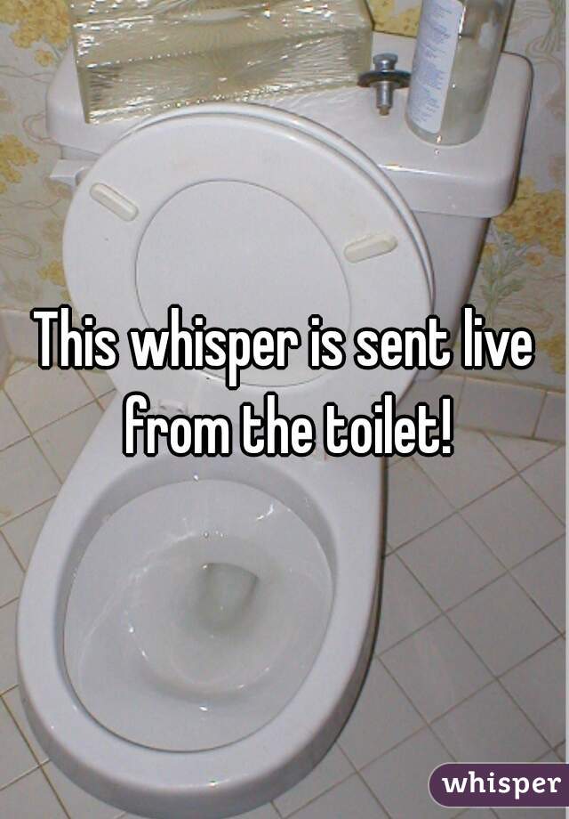 This whisper is sent live from the toilet!