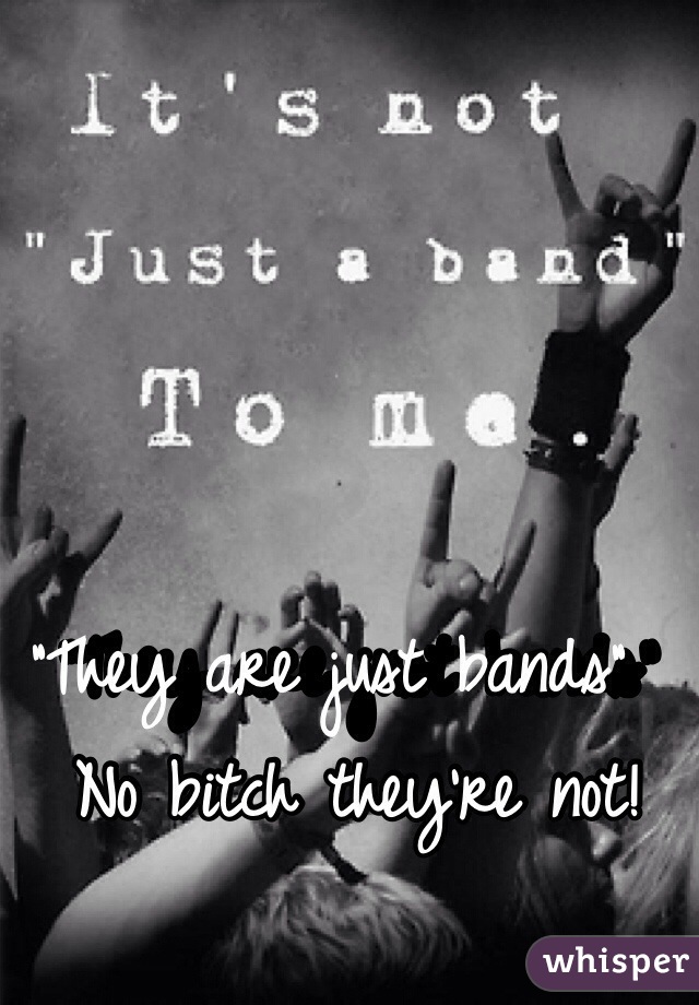 "They are just bands"             No bitch they're not!