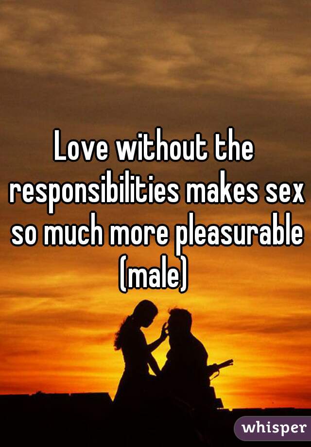 Love without the responsibilities makes sex so much more pleasurable
(male)