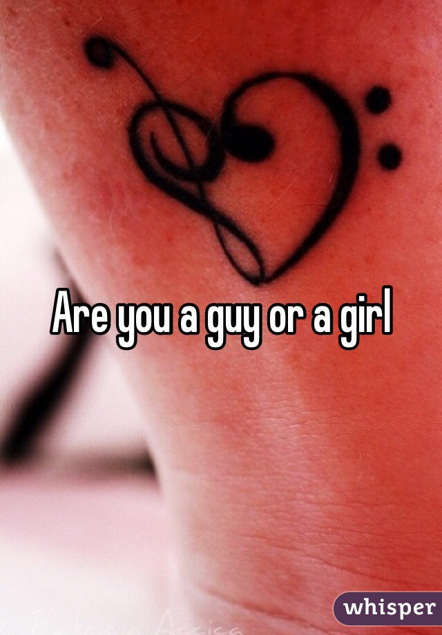 Are you a guy or a girl 