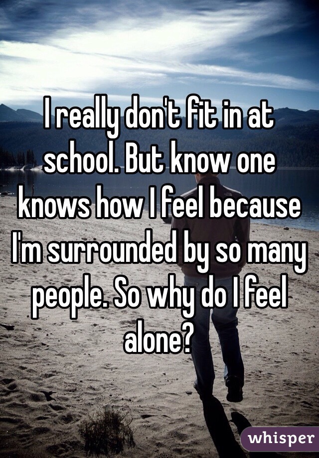 I really don't fit in at school. But know one knows how I feel because I'm surrounded by so many people. So why do I feel alone?