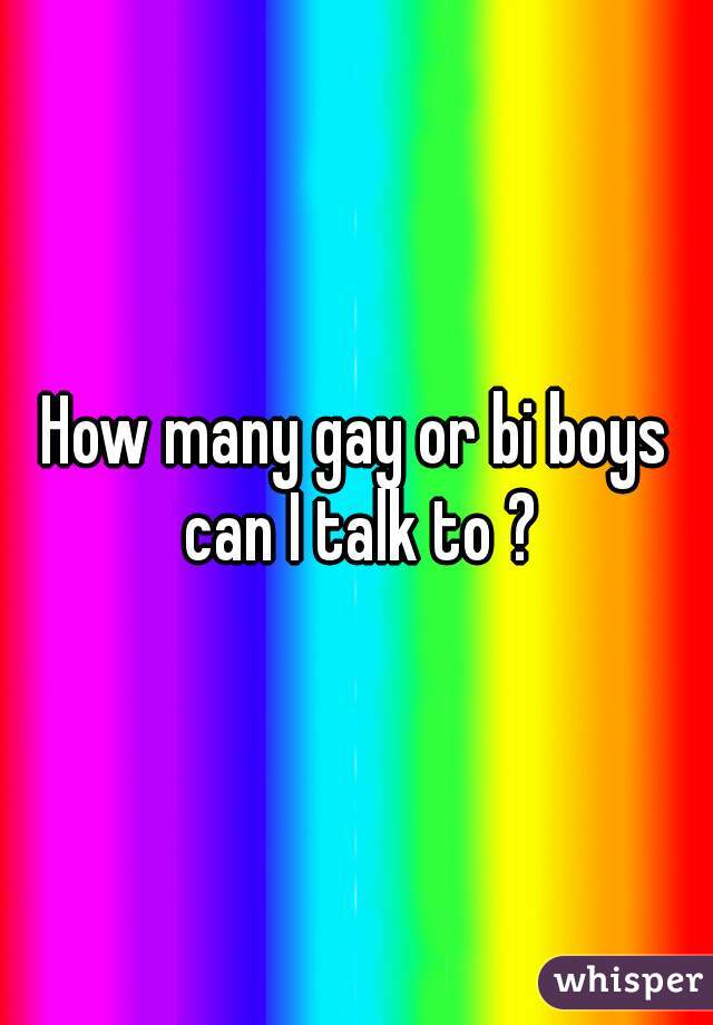 How many gay or bi boys can I talk to ?