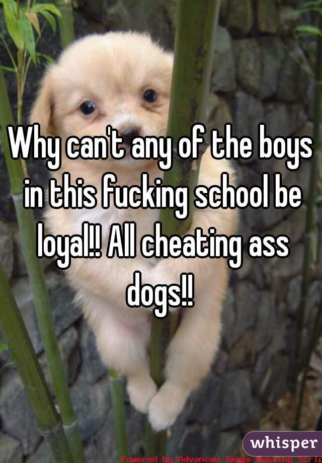 Why can't any of the boys in this fucking school be loyal!! All cheating ass dogs!! 