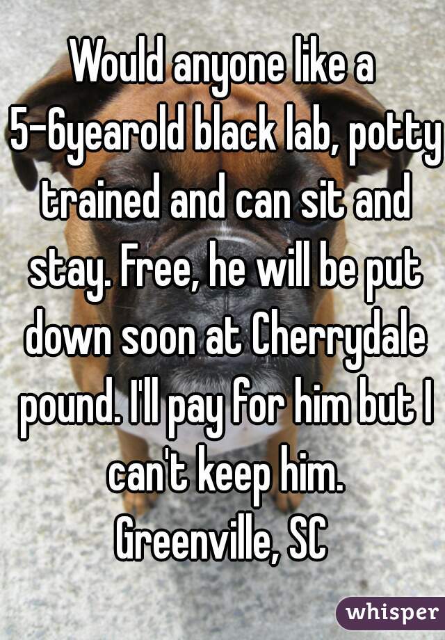 Would anyone like a 5-6yearold black lab, potty trained and can sit and stay. Free, he will be put down soon at Cherrydale pound. I'll pay for him but I can't keep him.
Greenville, SC