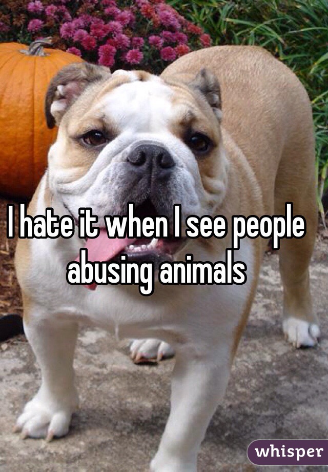 I hate it when I see people abusing animals
