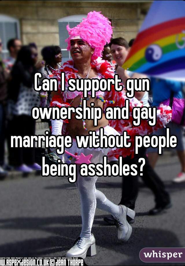 Can I support gun ownership and gay marriage without people being assholes?