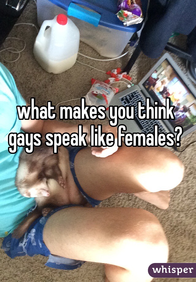 what makes you think gays speak like females?