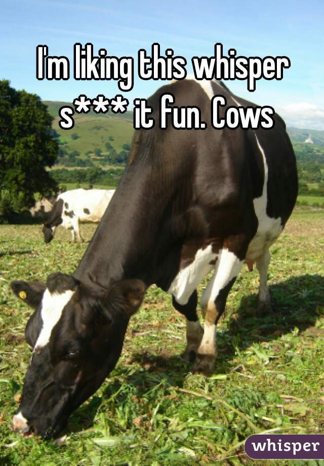 I'm liking this whisper s*** it fun. Cows