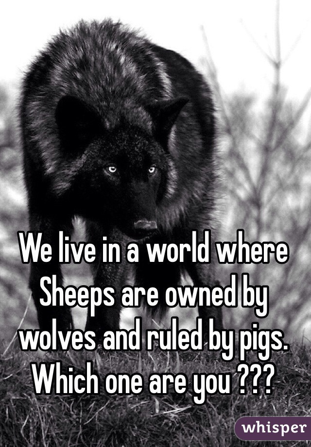 We live in a world where Sheeps are owned by wolves and ruled by pigs. Which one are you ???