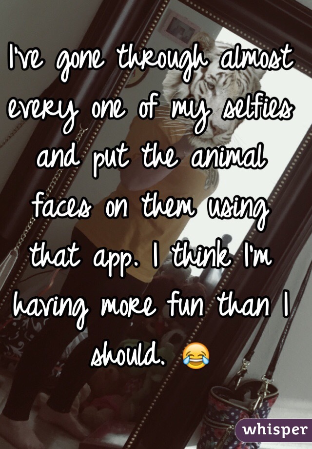 I've gone through almost every one of my selfies and put the animal faces on them using that app. I think I'm having more fun than I should. 😂