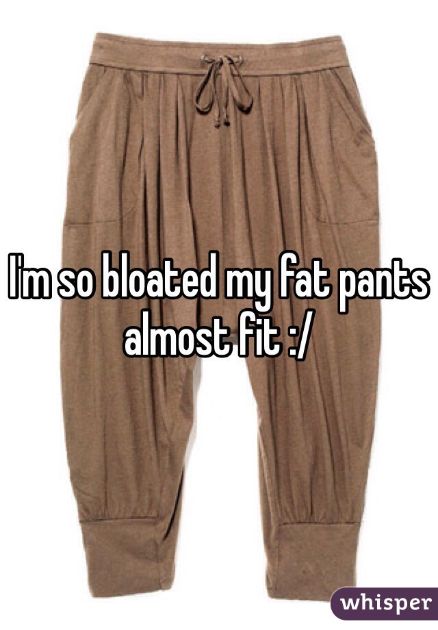 I'm so bloated my fat pants almost fit :/