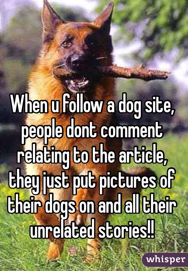 When u follow a dog site, people dont comment relating to the article, they just put pictures of their dogs on and all their unrelated stories!!