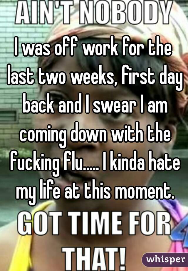 I was off work for the last two weeks, first day back and I swear I am coming down with the fucking flu..... I kinda hate my life at this moment.