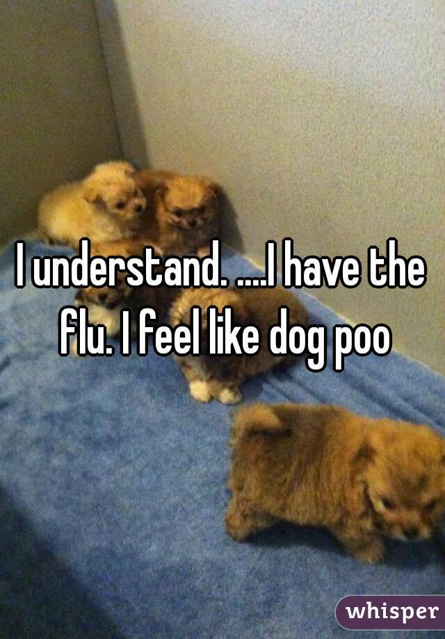 I understand. ....I have the flu. I feel like dog poo