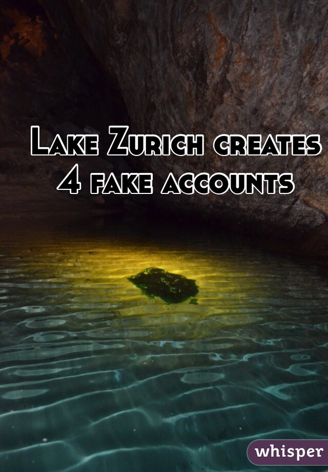 Lake Zurich creates 4 fake accounts