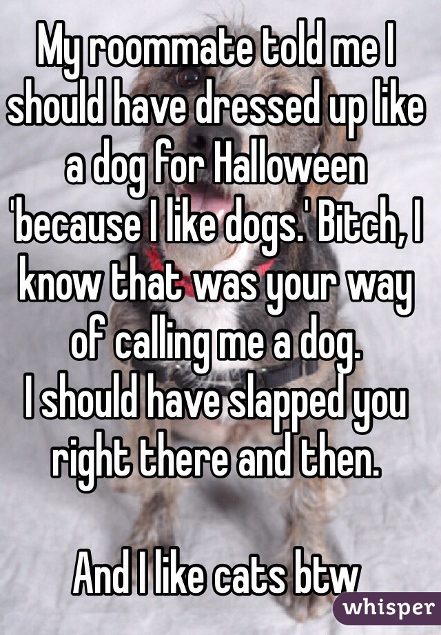 My roommate told me I should have dressed up like a dog for Halloween 'because I like dogs.' Bitch, I know that was your way of calling me a dog.
I should have slapped you right there and then.

And I like cats btw