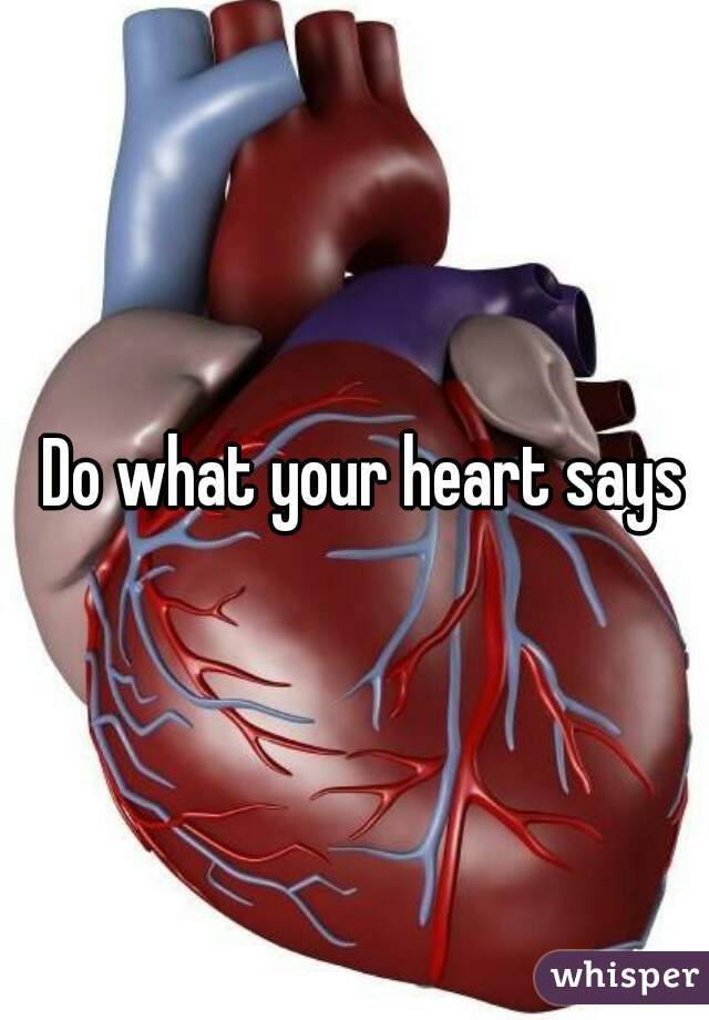 Do what your heart says