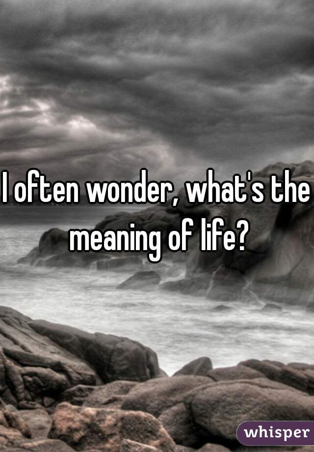 I often wonder, what's the meaning of life?