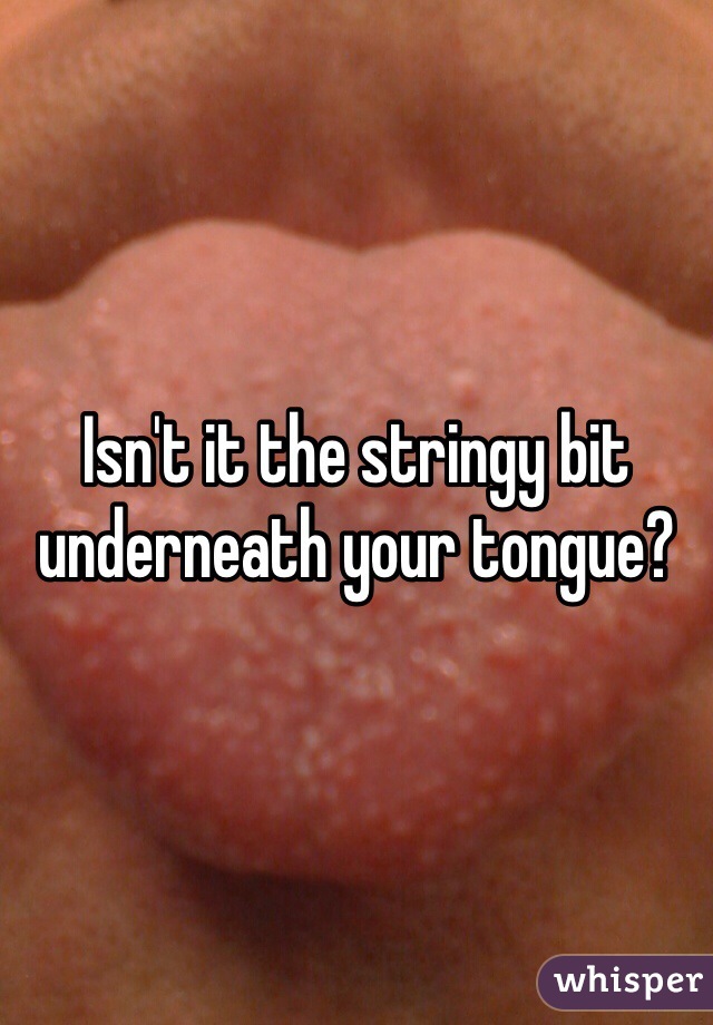 Isn't it the stringy bit underneath your tongue? 