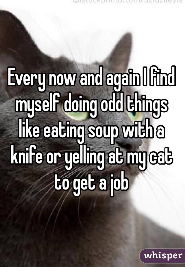 Every now and again I find myself doing odd things like eating soup with a knife or yelling at my cat to get a job