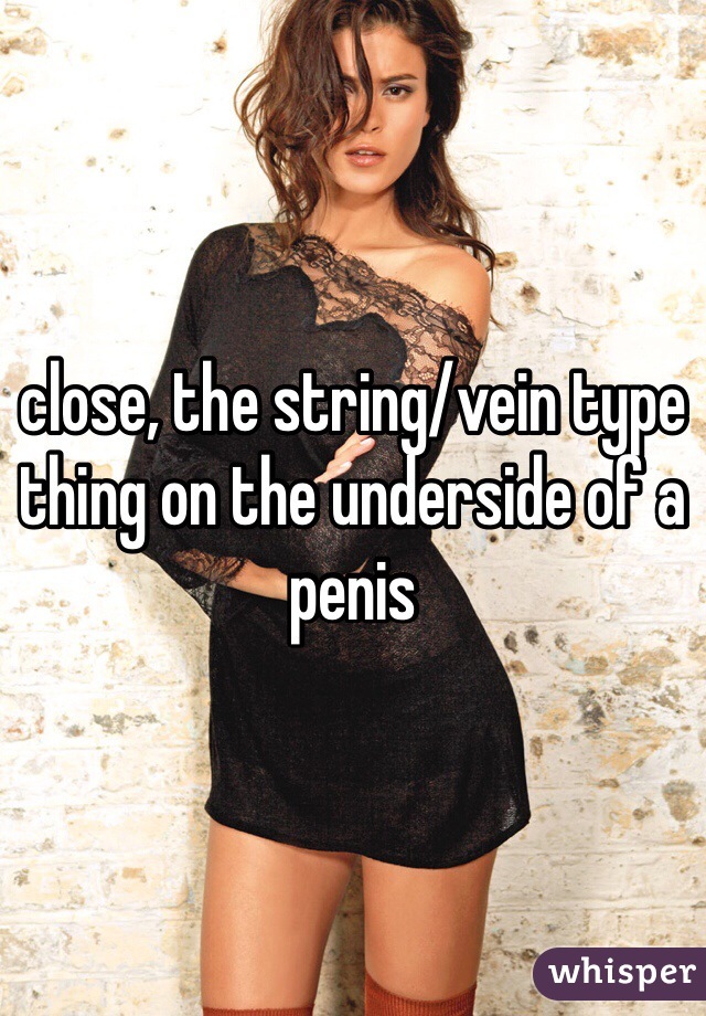 close, the string/vein type thing on the underside of a penis