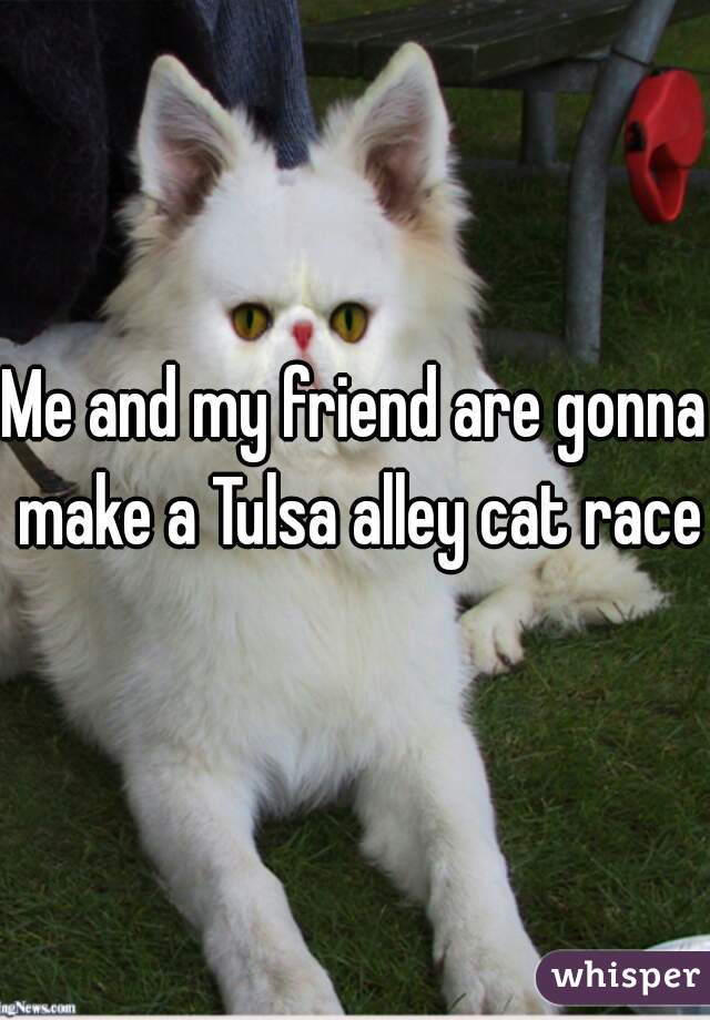 Me and my friend are gonna make a Tulsa alley cat race 