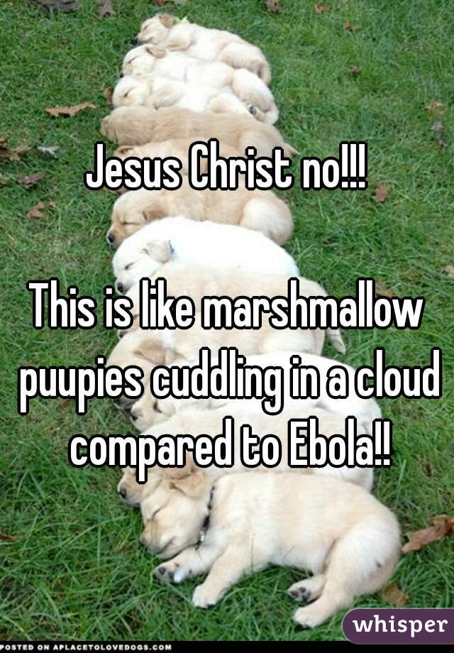 Jesus Christ no!!!

This is like marshmallow puupies cuddling in a cloud compared to Ebola!!