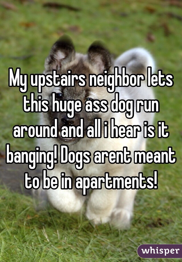 My upstairs neighbor lets this huge ass dog run around and all i hear is it banging! Dogs arent meant to be in apartments!