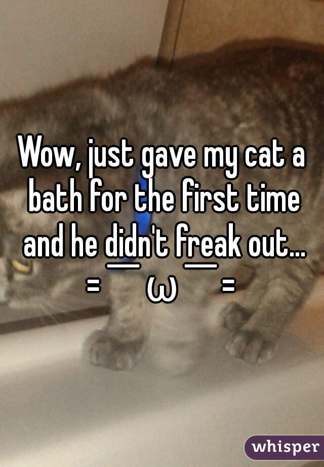 Wow, just gave my cat a bath for the first time and he didn't freak out...
=￣ω￣=