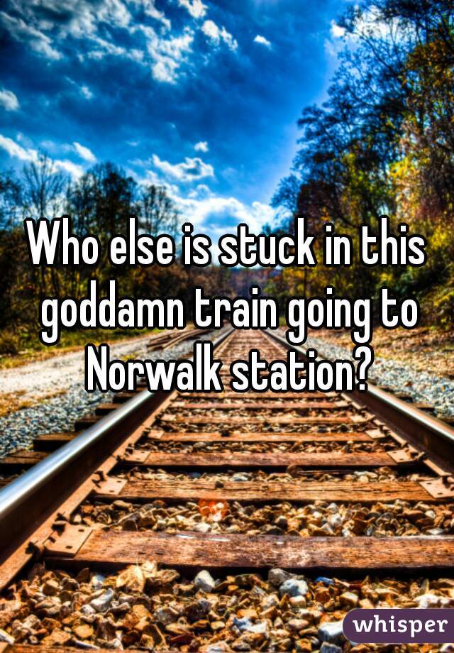 Who else is stuck in this goddamn train going to Norwalk station?