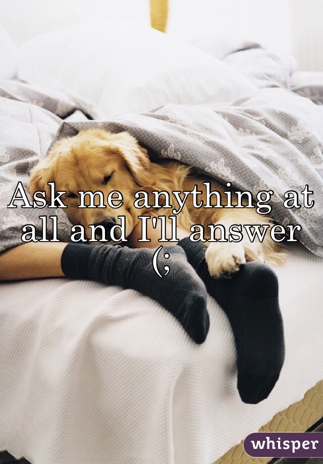 Ask me anything at all and I'll answer (;