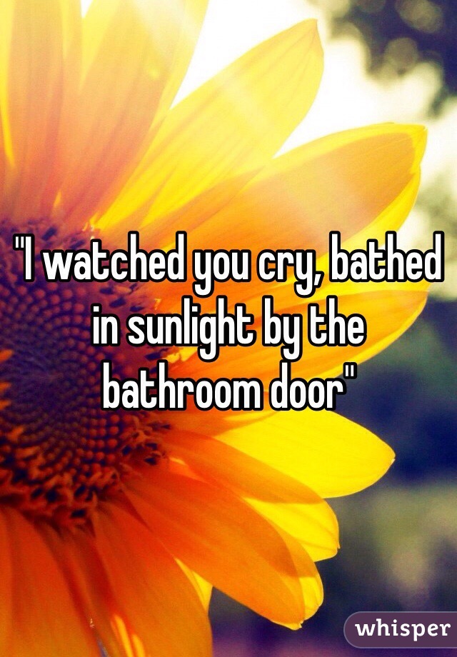 "I watched you cry, bathed in sunlight by the bathroom door"