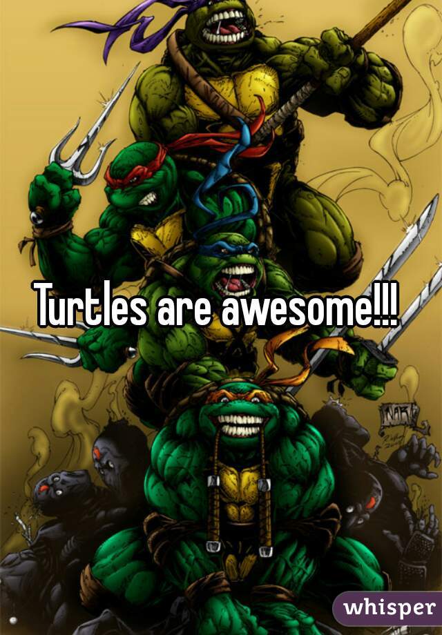 Turtles are awesome!!! 