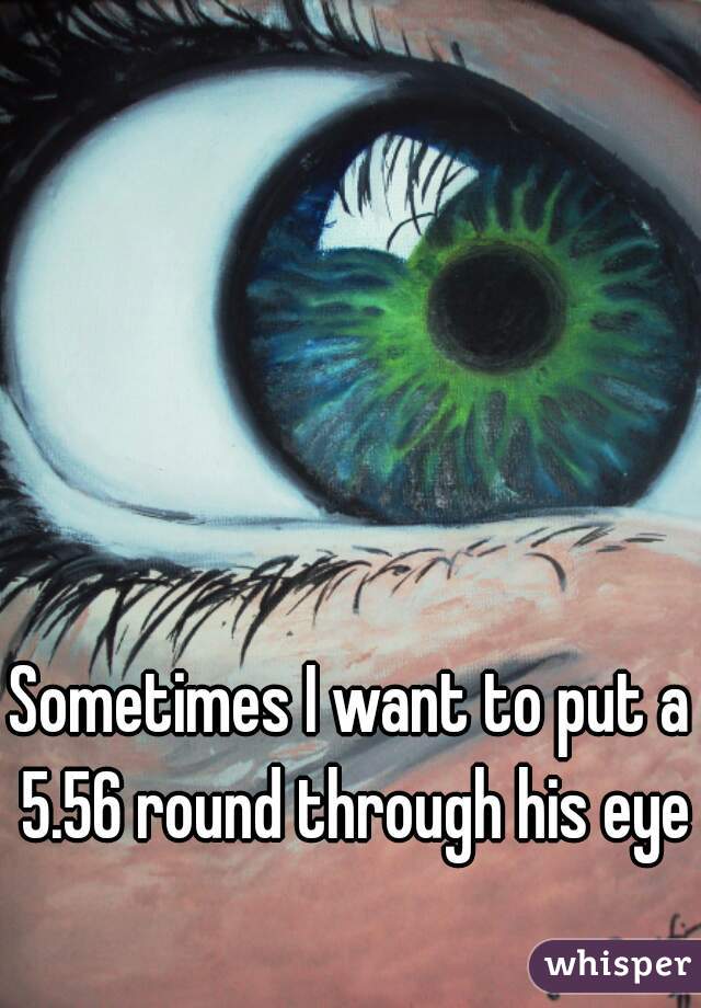 Sometimes I want to put a 5.56 round through his eye