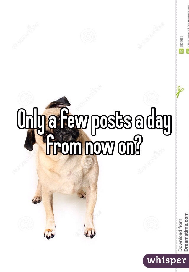 Only a few posts a day from now on?